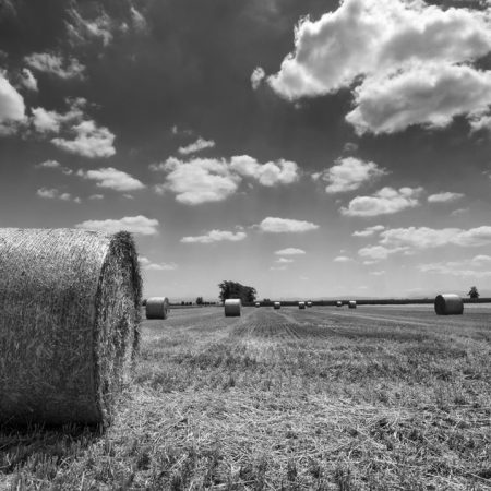 Tailor-made Sicily countryside tour through vineyards and olive groves, discovering authentic rural villages and local traditions