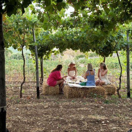 wine tasting near castellammare del golfo with sicilian wines and glasses